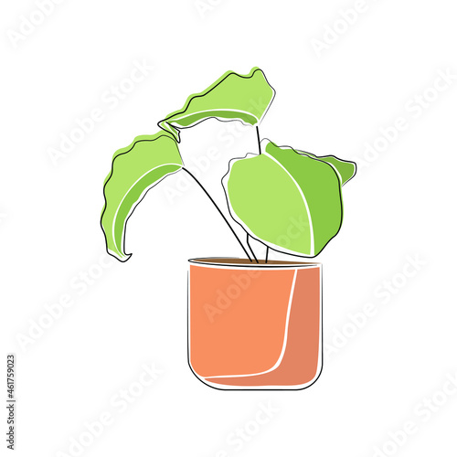 Vector set in containers of green plants. Different pots for interior design decorative houseplants. Decoration, gardening, floral vector collection, isolated on a white background.