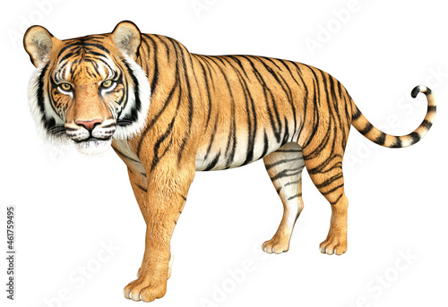 Fototapeta Naklejka Na Ścianę i Meble -  3D Red Tiger