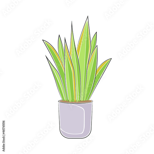 Vector set in containers of green plants. Different pots for interior design decorative houseplants. Decoration, gardening, floral vector collection, isolated on a white background.
