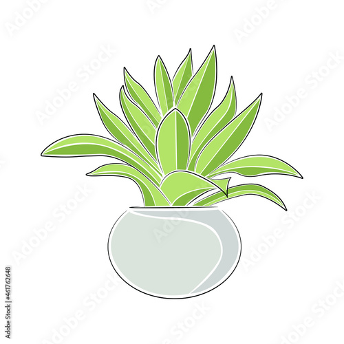 Vector set in containers of green plants. Different pots for interior design decorative houseplants. Decoration, gardening, floral vector collection, isolated on a white background.