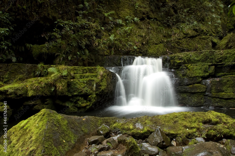 Fototapeta premium Waterfall in the New Zealand Rain Forest