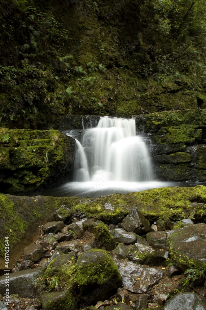 Obraz premium New Zealand Rain Forest Waterfall