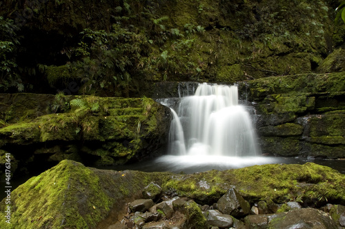 Waterfall in the New Zealand Rain Forest