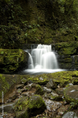 Fototapeta Naklejka Na Ścianę i Meble -  New Zealand Rain Forest Waterfall