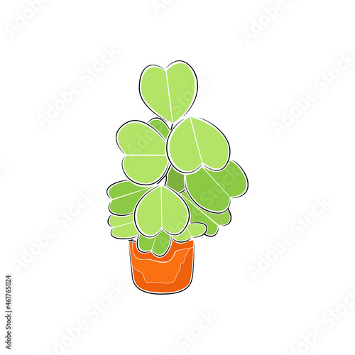 Vector set in containers of green plants. Different pots for interior design decorative houseplants. Decoration, gardening, floral vector collection, isolated on a white background.