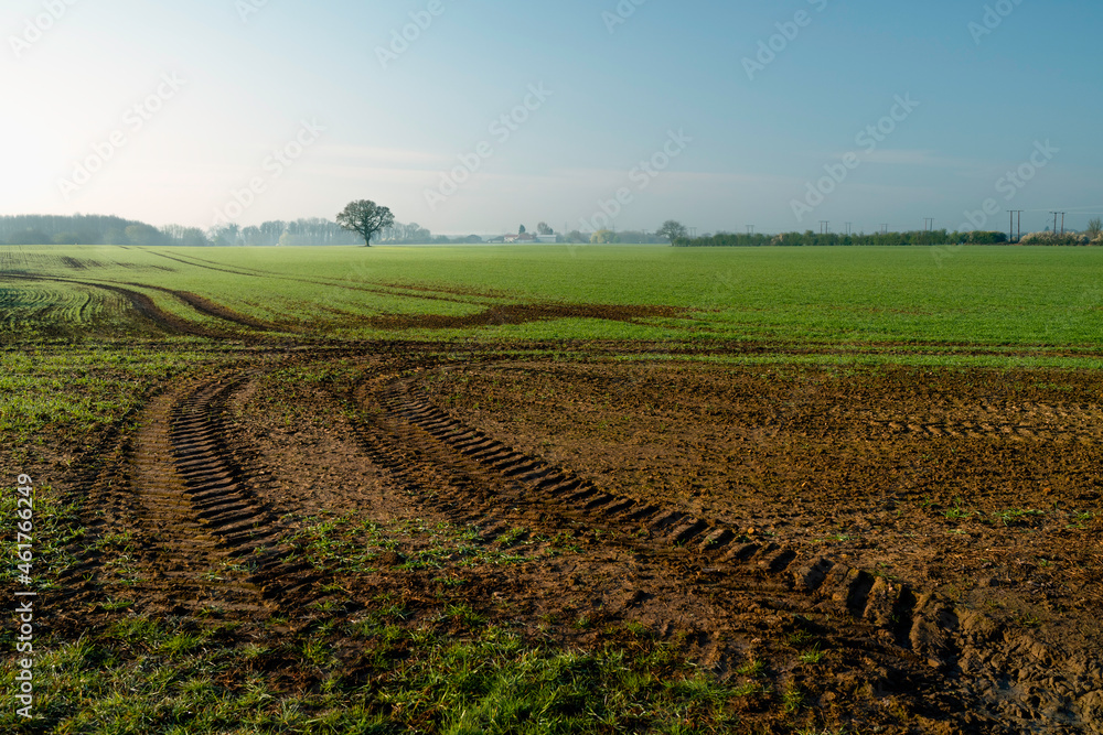 Rural agricultural scene with ploughed field and oak tree under blue, Beverley, UK.