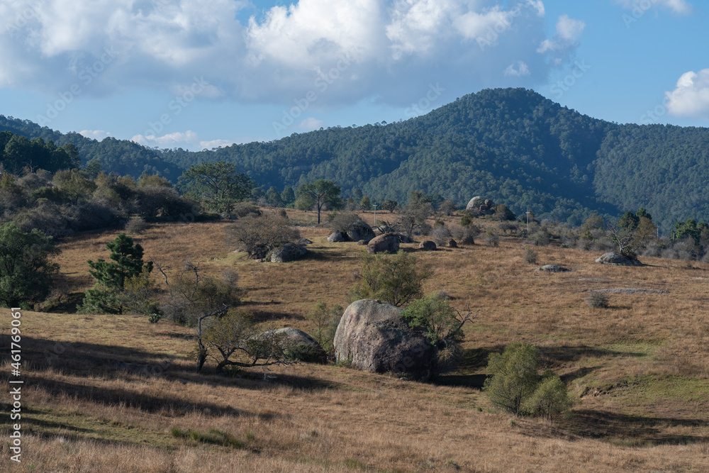 Fototapeta premium paisaje