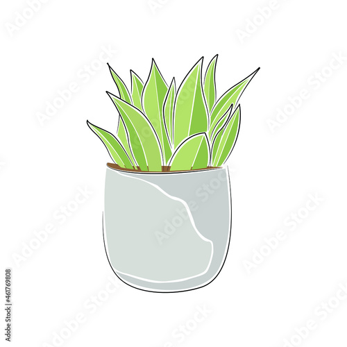 Vector set in containers of green plants. Different pots for interior design decorative houseplants. Decoration, gardening, floral vector collection, isolated on a white background.