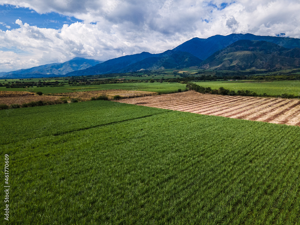 aerial view of sugarcane cultivation in Pradera Valle del Cauca