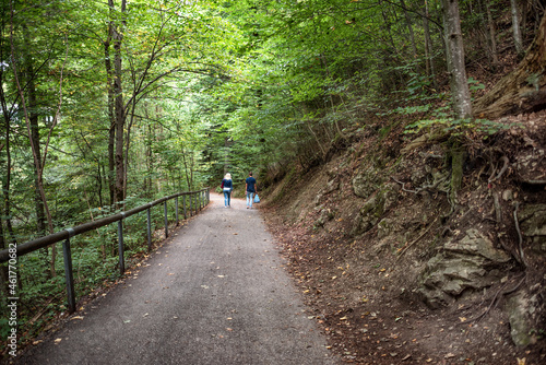 A path going through the forest to Neuschanstein castle in autumn.