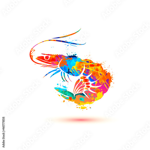 Shrimp. Splash paint vector symbol