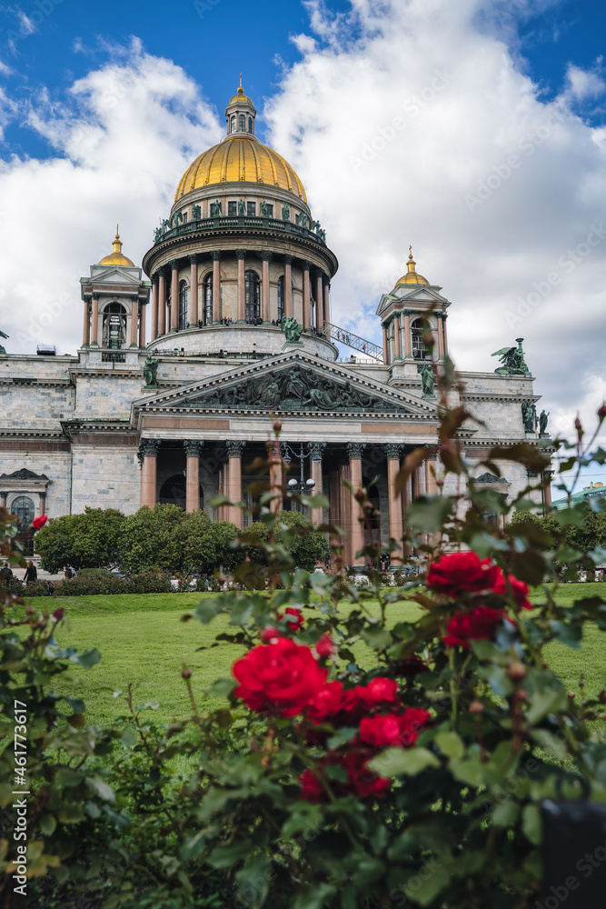 Saint Isaac's Cathedral and bushes of red roses. Saint Petersburg, Russia