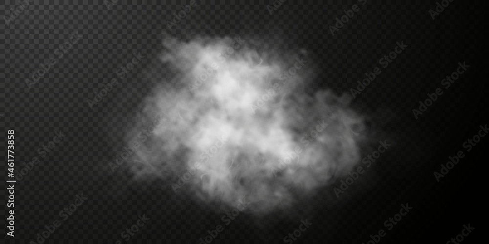 White transparent steam on dark background Vector Image