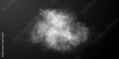 White smoke puff isolated on transparent black background. PNG. Steam explosion special effect. Effective texture of steam, fog, smoke png. Vector illustration	