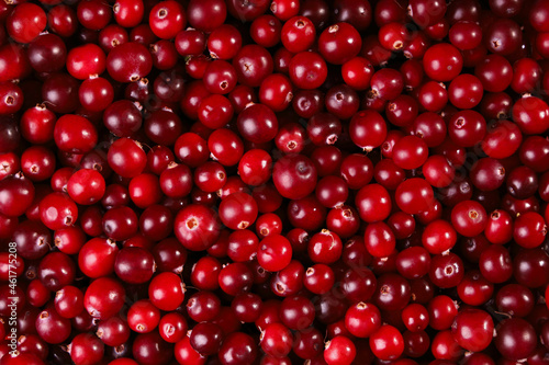 Cranberry red food background  vitamin harvest  closeup of surface