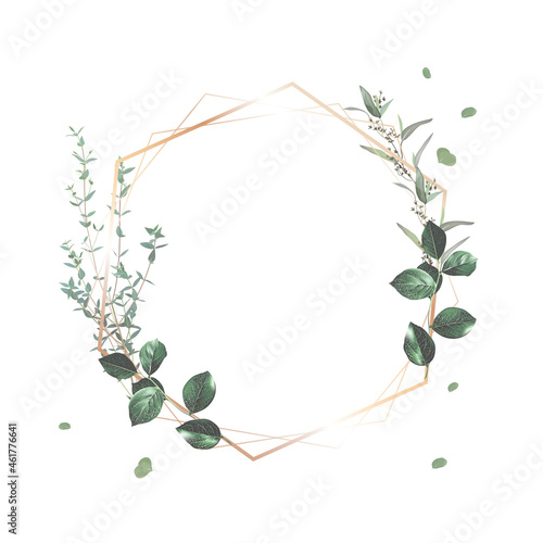 Herbal geometric vector frame. Hand painted plants photo