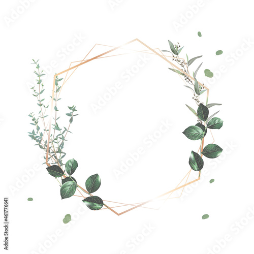 Herbal geometric vector frame. Hand painted plants