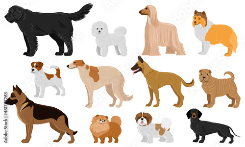 Cartoon puppy dogs breeds pets cute characters. Dachshund, shepherd, malinois and jack russell terrier vector illustration set. Domestic collie and shar pei dogs