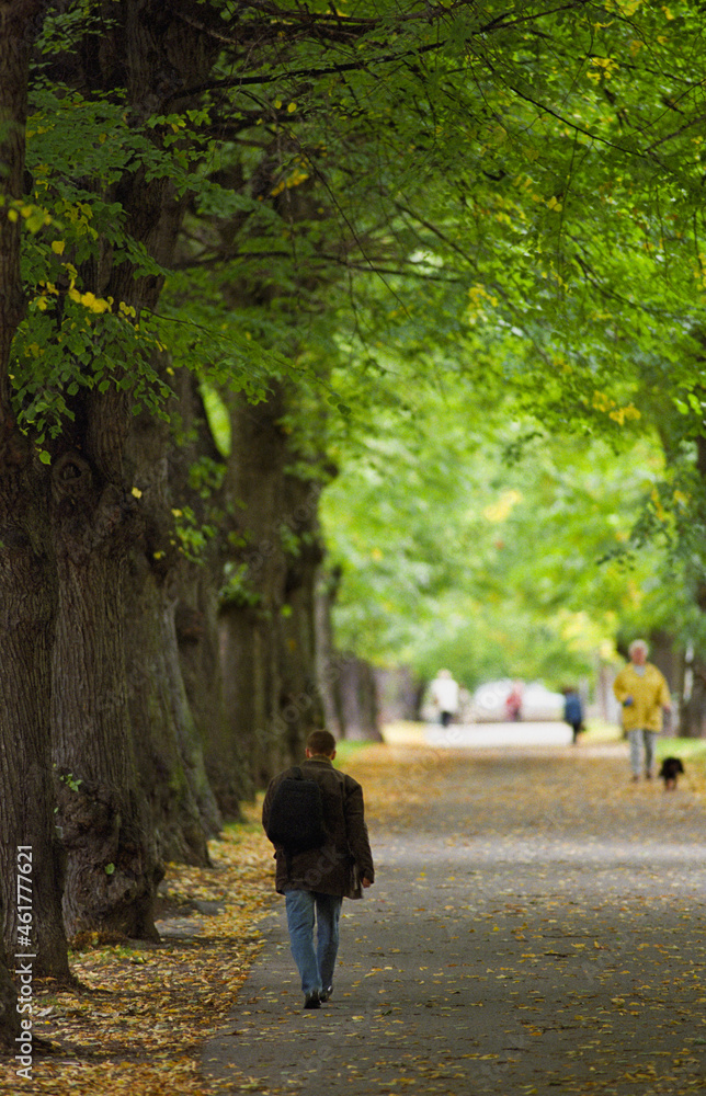 People walking down an avenue People walking down an avenue