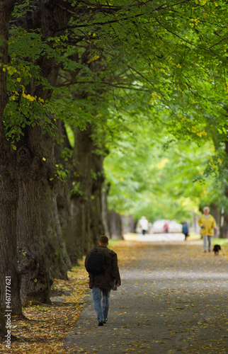 Photography People walking down an avenue