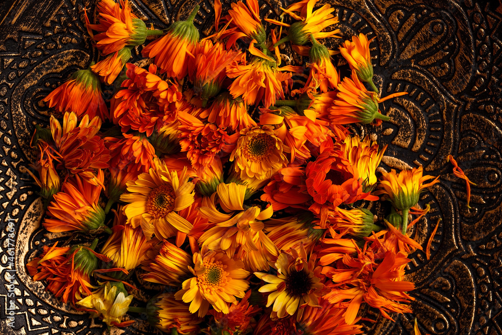 Fototapeta premium Medicinal herbs. Calendula prepared for drying and use in alternative medicine. Orange flower heads close-up