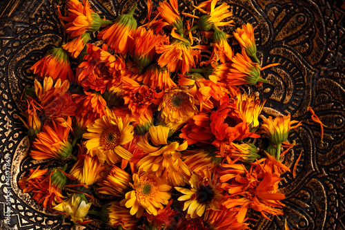 Medicinal herbs. Calendula prepared for drying and use in alternative medicine. Orange flower heads close-up