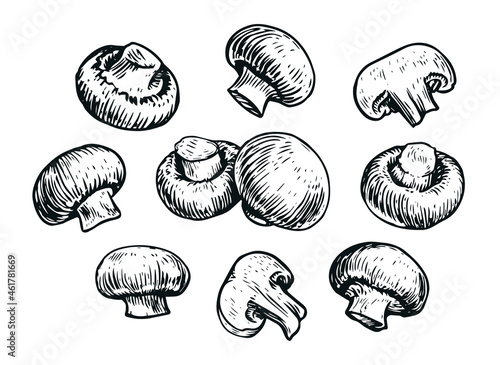 Mushrooms set, hand drawn sketch. Food concept. Champignon vector illustration