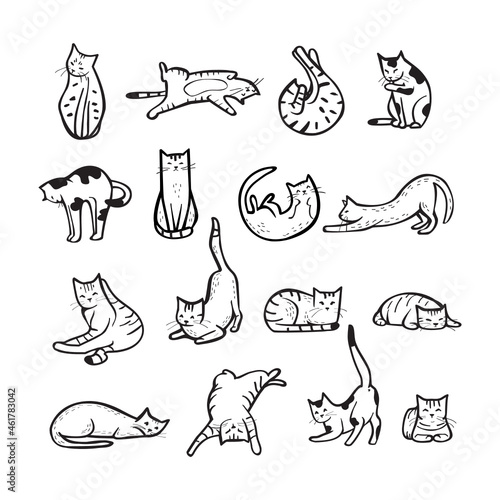  Hand drawn cats in different poses, set of vector illustration