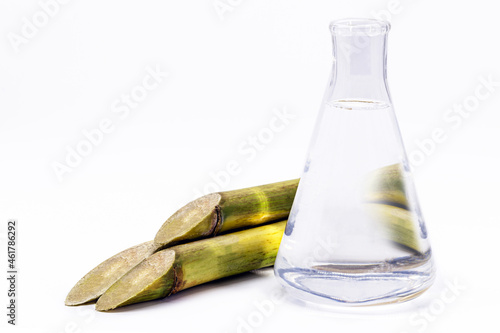Ethanol with sugar cane, Alternative fuel alcohol, Brazilian biofuel produced from renewable natural resources photo
