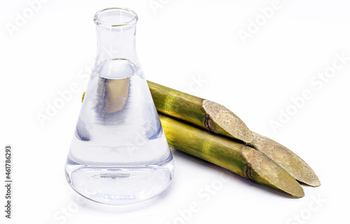 Billede på lærred ethanol fuel on isolated white background with sugar cane on the side