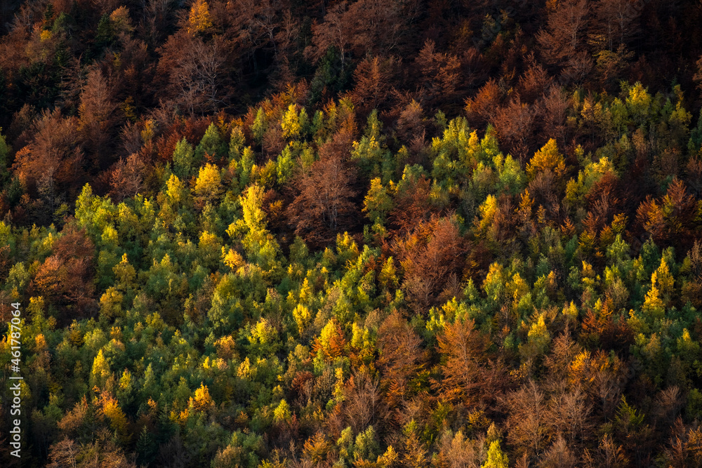 Fototapeta premium autumn in the mountains