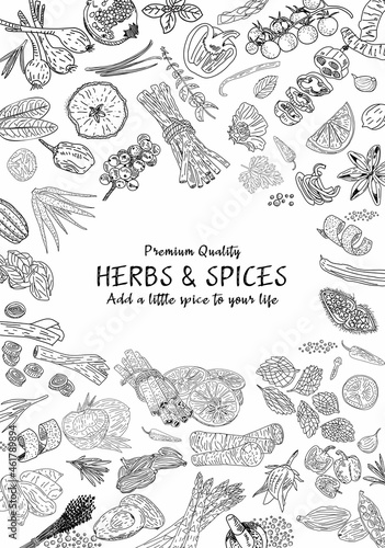 Herbs Spices vector hand drawn collection. Sketch kitchen herbs isolated. Design element for poster, menu, flyer, banner, package.