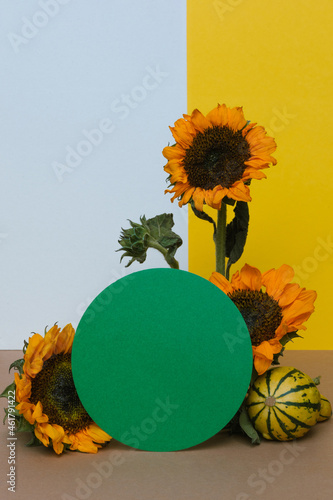 Composition of pumpkins, green circle and sunflowers on white, yellow and brown paper background. Autumn abstract background.