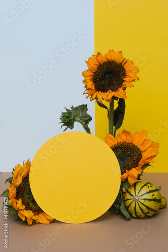 Composition of pumpkins, yellow circle and sunflowers on white, yellow and brown paper background. Autumn abstract background.