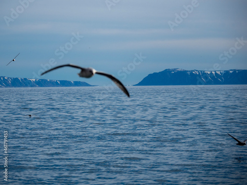 photos of mountains, glaciers, icebergs, and sea ice in the Canadian Arctic landscape. 