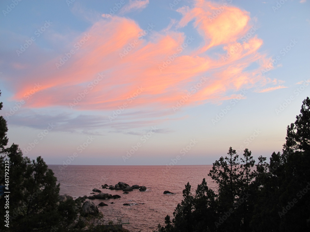 Cloudy landscape at sunset, pink cloud against the background of the sea and the silhouette of juniper branches
