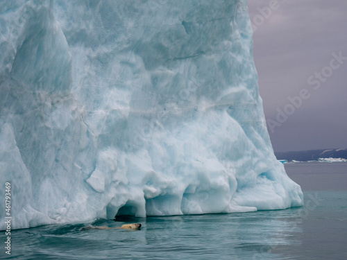 photo of mountain, glacier, sea ice, ocean and icebergs in the canadian arctic