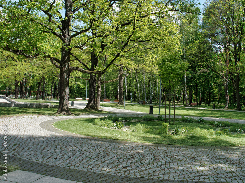 Park drzewa