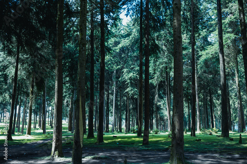 Kinale Forest is located 60kms from Nairobi along the Nairobi- Naivasha highway, Kinungi route. The forest has several largely unexplored tourist attractions including Thiririka Water Falls, Theta Dam photo