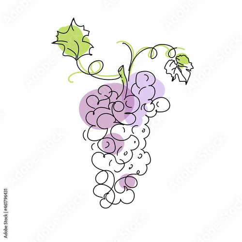 Line art bunch of grapes in doodle style isolated on white background. Artistic sample sketch.Fresh healthy food. Line drawing style. Natural abstract art. Sweet food vector illustration