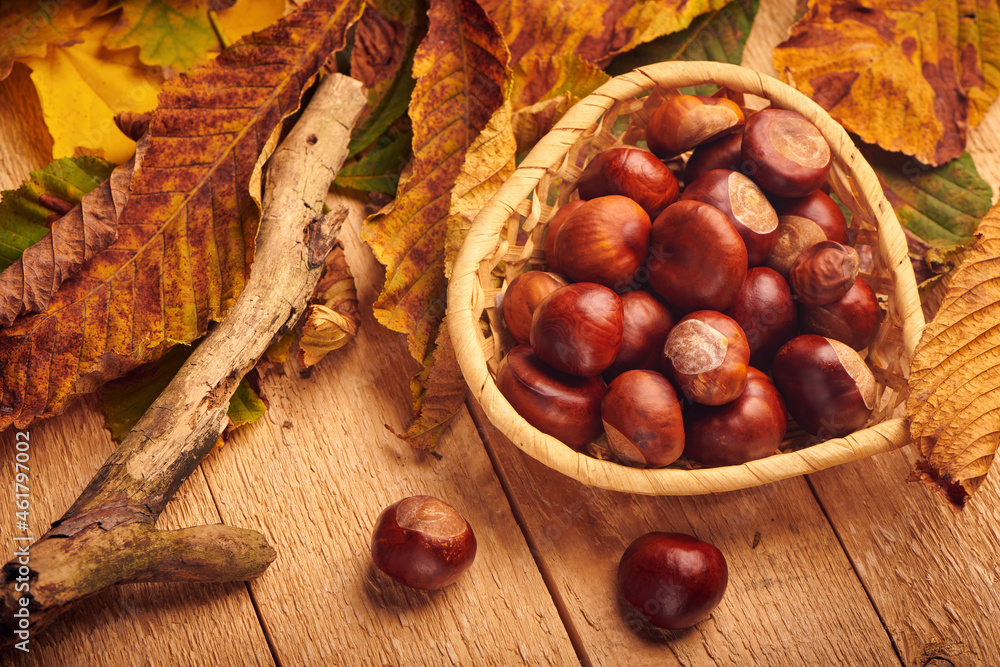 Horse chestnuts in bowl and fall yellow leaves on wooden table. Fall background. Horse chestnuts in bowl and fall yellow leaves on wooden table. Fall background.