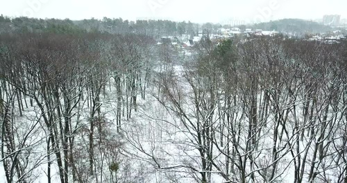 Wallpaper Mural Snowy forest, view from above. aerial drone view in a snowy winter forest nearly the town, natural landscape, frozen forests. Torontodigital.ca