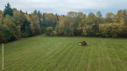 Fototapeta Naklejka Na Ścianę i Meble -  Aerial view of group of fox hunters on the horses in the autumn field. Equestrian riding sport in a countryside.