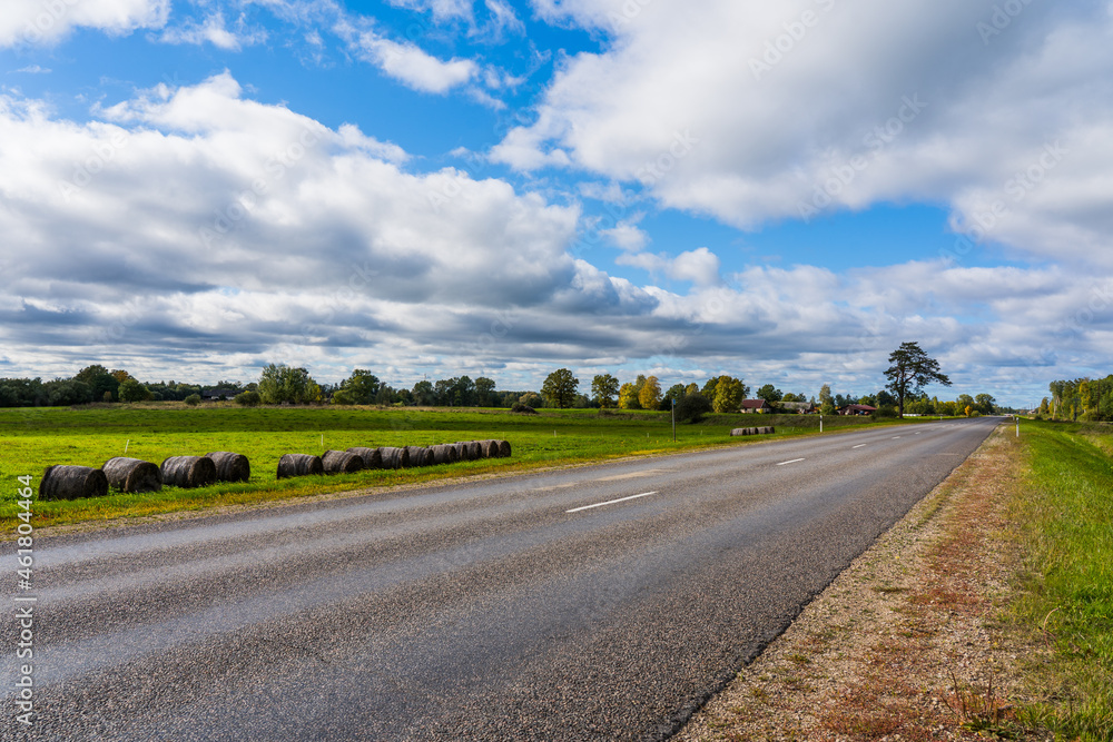Hay rolls on the side of the road. A lonely pine.