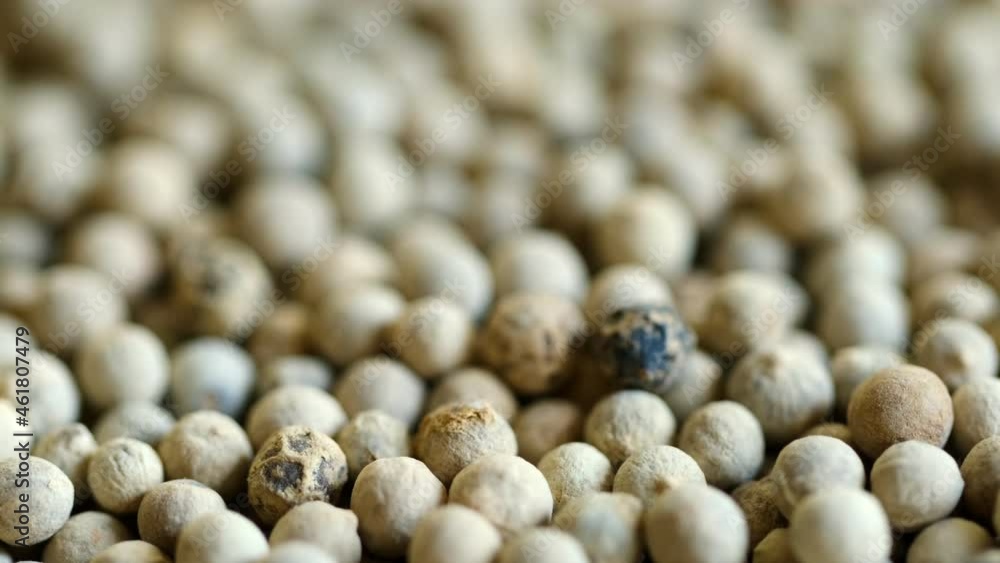 Close-up video of a slowly rotating white pepper