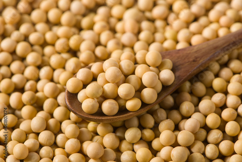 Soybean seeds grain in spoon background.