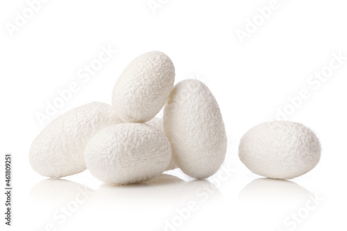 white silkworm cocoons on white background. photo