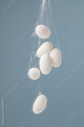 natural silk with silkworm cocoons on cyan background. photo