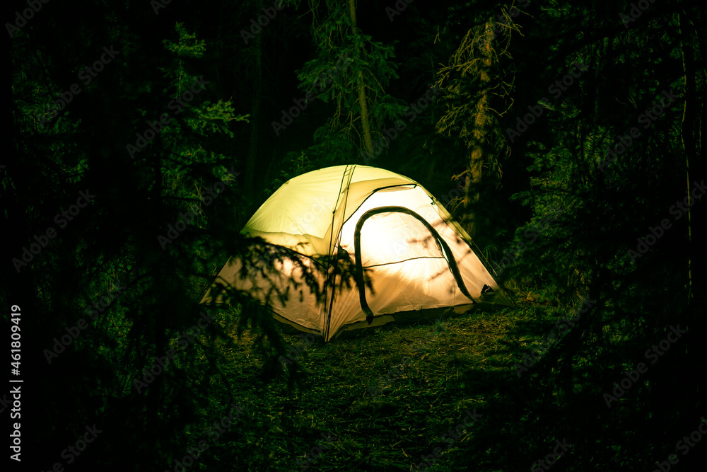Tent Camping In The Forest Woods At Night