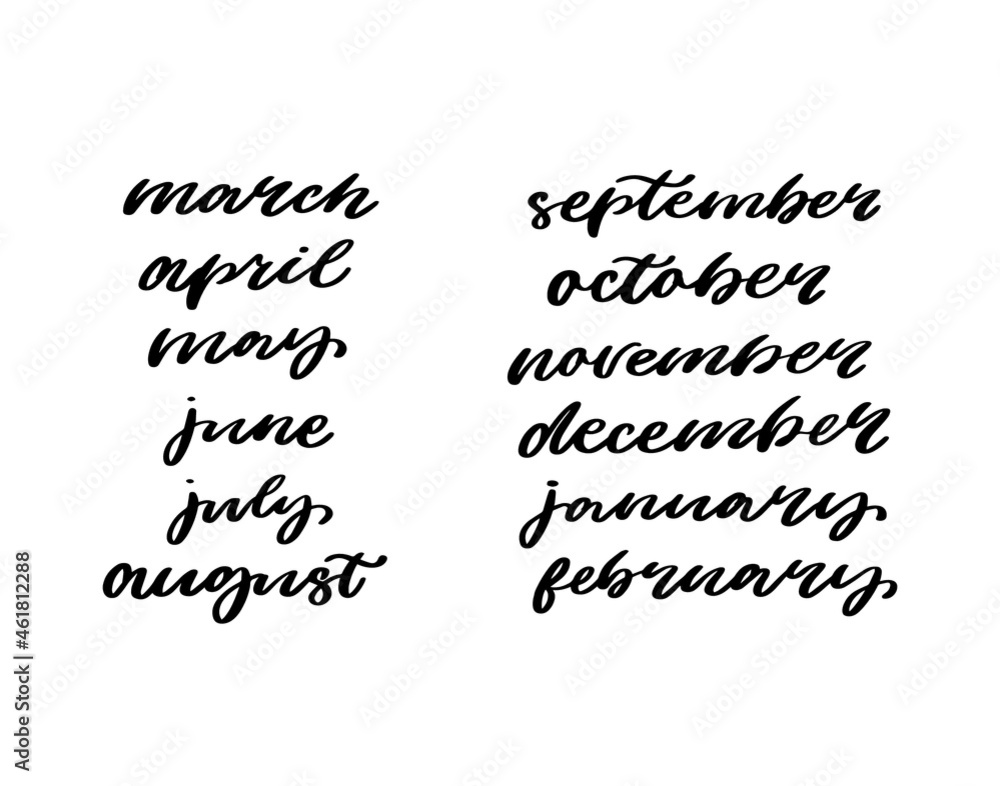Fototapeta premium Months of the year lettering calligraphy
